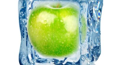 ice apple